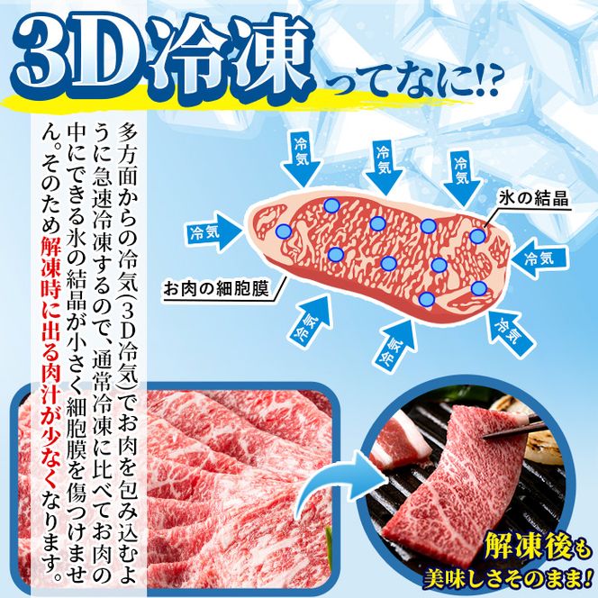 ＜宮崎牛・3D冷凍＞6部位食べ比べスライス(合計600g)牛肉 肩 ロース バラ モモ バラ ヒレ すき焼き しゃぶしゃぶ 鍋 精肉 お肉 お取り寄せ 黒毛和牛 ブランド和牛 冷凍 国産【R-26】【ミヤチク】