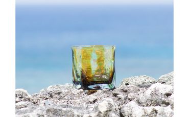 【RYUKYU GLASS WORKS 海風】ガジュマル　ロックグラス