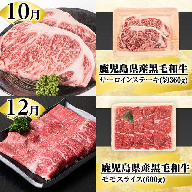 ＜定期便・全4回(4月・7月・10月・12月)＞鹿児島県産！黒毛和牛満喫定期便(総量2.3kg超)国産 九州産 鹿児島産 牛肉 国産牛 もも モモ肉 もも肉 スライス サーロイン ステーキ 切り落とし 切落し ロース 焼肉 焼肉セット 赤身 A4 頒布会【スターゼン】akn042-21