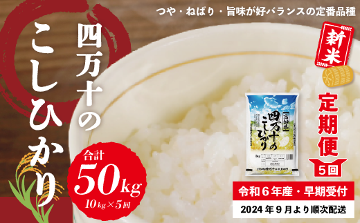 R6-151．【令和6年産新米・早期受付・5回定期便】四万十のこしひかり10kg×5回（合計50kg）【2024年9月より順次配送】