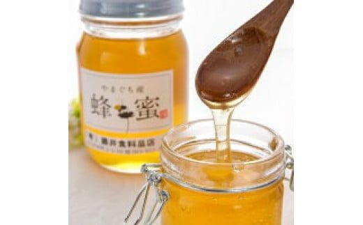 D028 山口のはちみつ　270g×3本