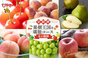 【2026年先行予約 6回 定期便】果樹王国を堪能コース 山形県 東根市 さくらんぼ もも プラム シャインマスカット ラ・フランス りんご hi999-045