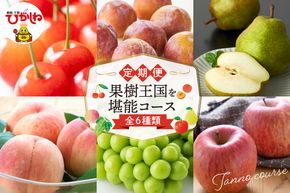 【2026年先行予約 6回 定期便】果樹王国を堪能コース 山形県 東根市 さくらんぼ もも プラム シャインマスカット ラ・フランス りんご hi999-045