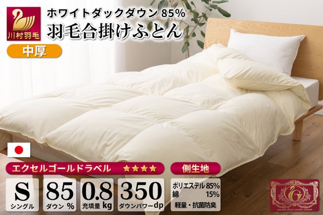 【春秋用】 中厚 羽毛 合掛け 布団 シングル ホワイトダックダウン 85％ 0.8kg (無地 アイボリー) [川村羽毛 山梨県 韮崎市 20741672] 羽毛布団 日本製 エクセルゴールドラベル