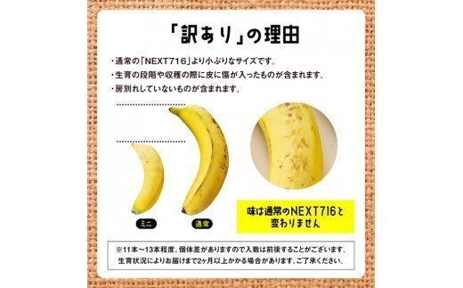 【訳あり】国産ミニバナナ１ｋｇ [F5801]