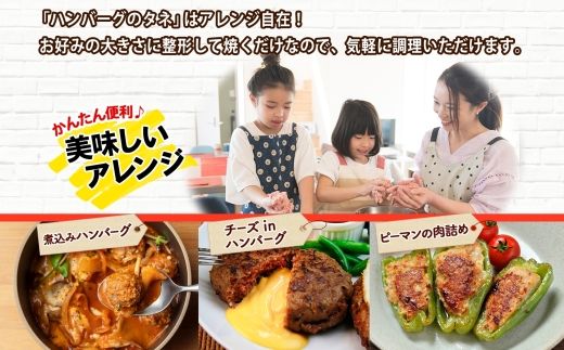 北海道 ビーフ ハンバーグステーキ 500g  ハンバーグの種 手づくり ハンバーグ タネ  卵不使用 乳不使用 小麦不使用 国産  beef 牛肉 赤身肉 国産牛 肉 おかず パーティー 冷凍 お取り寄せ 送料無料 十勝 士幌町【W07】