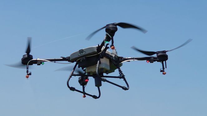 令和7年産 茨城県産 ミルキークイーン 10kg 精米 米 こめ コメ 農家 直送 こだわり お米 おこめ 茨城 [BG012ya]