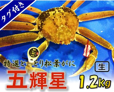 1139 【魚倉】五輝星生松葉ガニ(特々大1.2kg) 数量限定品