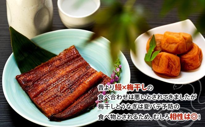 紀州南高梅 うな丼 うなぎ蒲焼 240g  × 紀州南高梅干  80g 有田みかん蜂蜜 塩分7％  約3人前   Y020