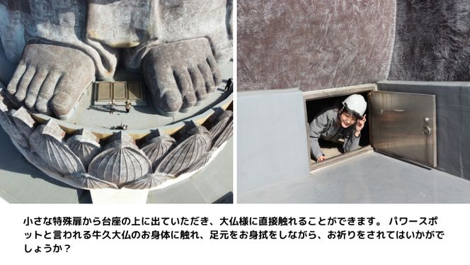 地上20ｍ 牛久大仏 足元 お身拭い 体験 ツアー ※ 平日限定 ※ （ 5名様まで ） 貸切 参加券 体験チケット 観光 ふるさと納税限定 [DR004us]