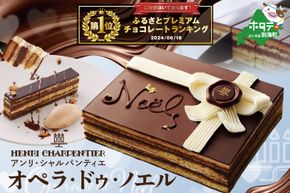 御礼！ランキング第１位獲得！【先行予約】クリスマスにお届け！【 芦屋の名店アンリ・シャルパンティエ 至高 の チョコケーキ 】オペラ ・ドゥ・ノエル 冷凍 ケーキ 【SZ0000012】