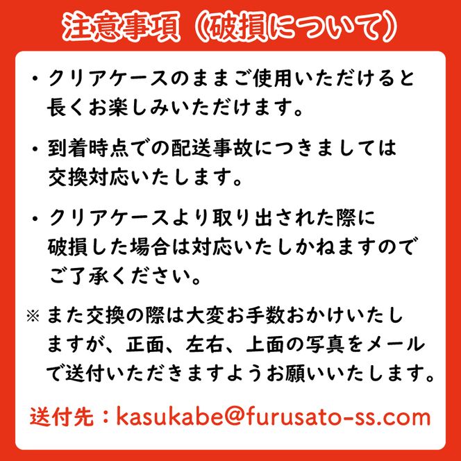 AJ200-1 プリザーブドフラワー【プティフルール/オランジュ】春日部市 シュガーパイン