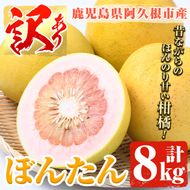 訳あり！鹿児島県阿久根市産ボンタン(計8kg)国産 ぼんたん 文旦 柑橘 果物 フルーツ【松永青果】akn053-02