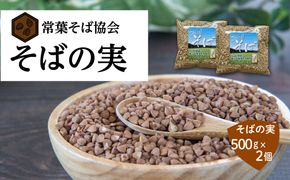 あぶくま高原 そば そばの実 1kg ( 500g × 2個 ) 蕎麦 そば打ち 低GI ダイエット GAP FGAP 国産 おすすめ お中元 送料無料 緊急支援品 生活応援 コロナ支援 福島県 田村市 常葉そば協会 N074-003