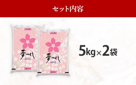 福岡県産ブランド米「夢つくし」無洗米　計10kg