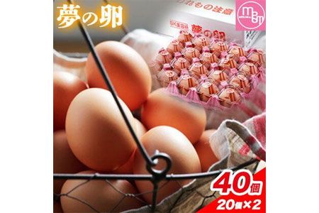 卵 たまご 赤玉 夢の卵 20個入り x 2セット L/LLサイズ[90日以内に出荷予定(土日祝除く)]株式会社めぐみ 岡山県 浅口市 送料無料 大容量 大箱 たっぷり Lサイズ LLサイズ---124_85_90d_23_16000_ss---