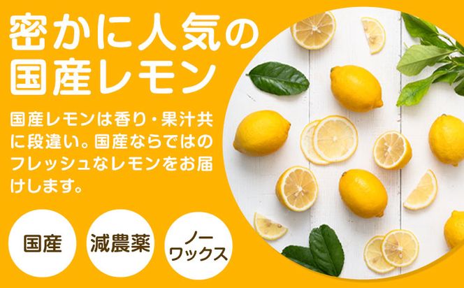 レモン 国産 レモン 3kg(L～4Lサイズ) ノーワックス 減農薬 どの坂果樹園《2027年2月上旬-5月末頃出荷》 和歌山県 日高町 レモン れもん 檸檬 旬 果物 フルーツ 柑橘 産地直送 送料無料---wsh_dsk3_ac25_24_10000_3kg---