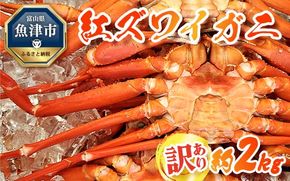 訳あり カニ 魚卸問屋のベニズワイガニ 約2kg 蟹 かに 紅ズワイガニ はりたや【 わけあり 】 ※2025年9月下旬～2026年5月下旬頃に順次発送予定 ※北海道・沖縄・離島への配送不可