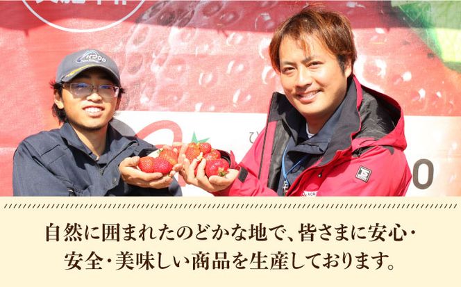 【1月中旬以降順次発送】築上町産 あまおう  1箱 15粒《築上町》【エースいちご株式会社】 大粒 あまおう 苺 いちご ギフト 贈答[ABAG004]