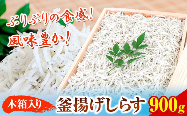 釜あげしらす 木箱 900g 大五海産[60日以内に出荷予定(土日祝除く)]和歌山県 日高町 釜揚げ しらす 魚 いわし シラス 釜揚げシラス 海産物 海鮮 海鮮丼 丼 シラス丼 しらす丼 和歌山県産 送料無料---wsh_cdig6_60d_23_17000_900g---