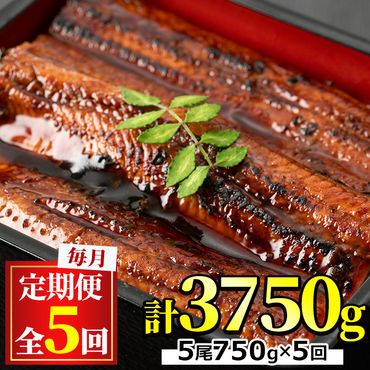 【150041】＜定期便・全5回＞東串良町のうなぎ蒲焼(無頭)(5尾・計約750g・タレ、山椒付×5回)【アクアおおすみ】