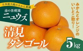 【先行予約受付中】産地直送！愛媛県産清見タンゴール 5kg ※2025年3月上旬～4月上旬頃に順次発送予定 ≪柑橘 みかん ギフト≫