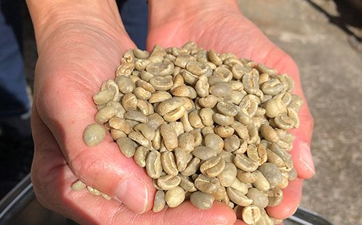 自家焙煎コーヒー豆専門店とみかわの「グアテマラ　サンタバーバラ」500g（粉） ※北海道・沖縄・離島への配送不可