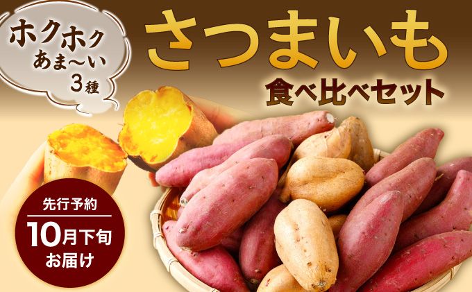 さつまいも 3種類 合計3kg 食べ比べ セット 詰め合わせ (金時さつまいも・紅はるか・シルクスイート・紫芋・フルーツこがね・ハロウィンスイート・土佐紅・紅まさりよりお届け) サツマイモ さつま芋 焼き芋 やきいも 6000円 野菜 故郷納税 rk008!