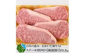 【A01105】百年の恵み　おおいた和牛A5　ステーキ用厚切り【厳選部位】約1.2kg