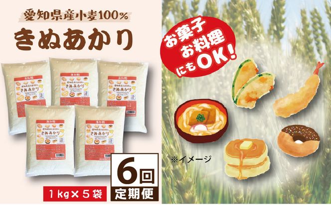 【小麦粉】愛知県産 きぬあかり 国産 薄力粉 1kg×5袋(計5kg) 定期便6回 H008-247