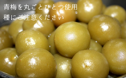 【老舗の菓子屋 鹿の子】築上銘菓「 梅の実 」15個《築上町》【有限会社　御菓子司　鹿の子】 [ABAC004]