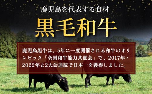 鹿児島黒牛セット（すきやき）500g/1パック【U602】