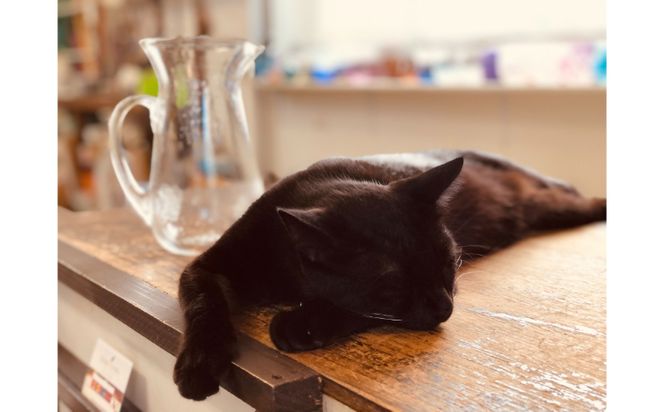 【琉球ガラス工房雫】水玉ピッチャー１個＆水玉タルグラス2個セット