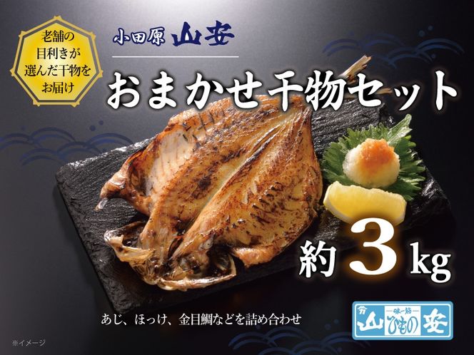 49-2360　【小田原　山安】おまかせ干物セット　約３ｋｇ【 干物 神奈川県 小田原市 】