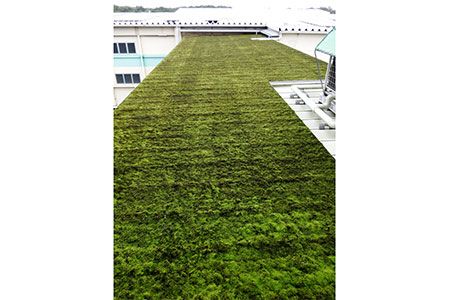 D-24 スナゴケプレート　９枚１組