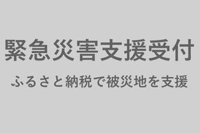 令和6年1月能登半島地震 災害緊急支援寄付(返礼品希望しない)