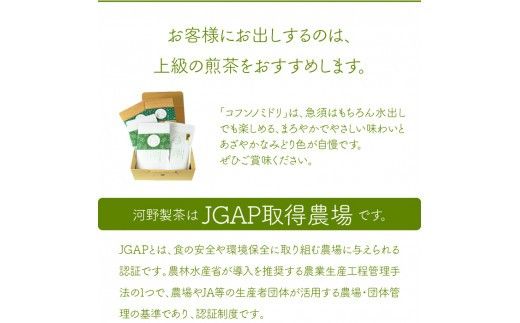 ＜上級煎茶5袋＋特上煎茶パウダー＞翌月末迄に順次出荷【c109_kn_x2】