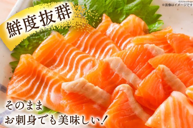 訳あり サーモン 不揃い 柵 900g [足利本店 宮城県 気仙沼市 20563299] 鮭 お刺し身 刺し身 個包装 チリ銀鮭 銀鮭 海鮮 魚介類 海鮮丼 魚介 魚