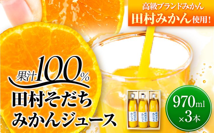 果汁100% 田村そだちみかんジュース 970ml×3本 株式会社魚鶴商店[30日以内に出荷予定(土日祝除く)] 和歌山県 日高町 みかんジュース ジュース 田村そだち--wsh_uot25_30d_24_16000_970ml---