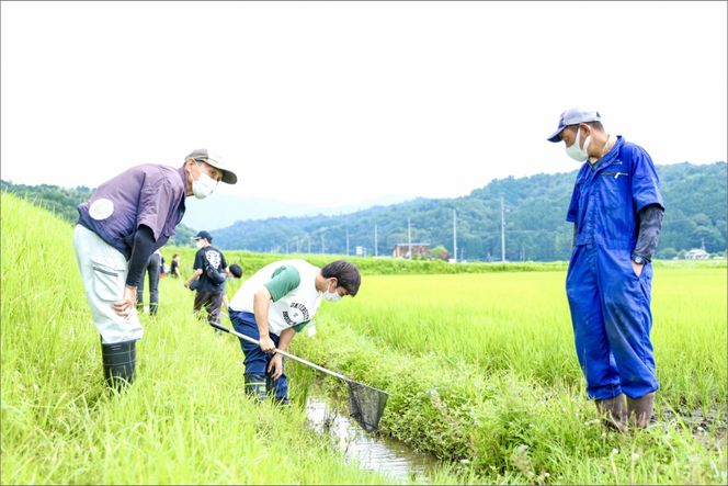 【先行予約】2023年産　京丹後産生物多様性米コシヒカリ「ゲンゴロウ郷の米」10kg箱入　CM00002