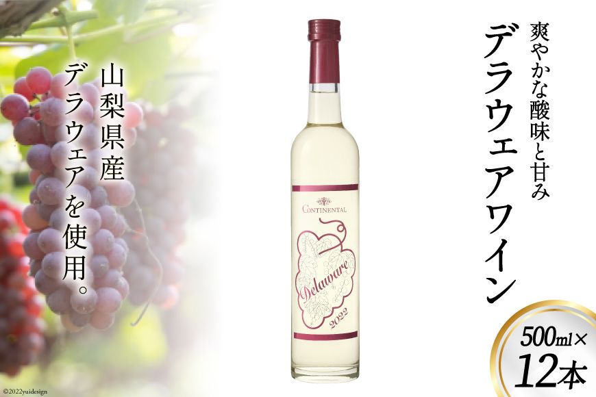 ワイン 白 デラウェアワイン 500ml×12本 [サン.フーズ 山梨県 韮崎市 20743135] 白ワイン 日本ワイン お酒 アルコール