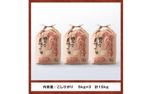 【令和6年産】永友農園産「こしひかり」15kg（5kg×3袋）　【 米 お米 白米 精米 国産 宮崎県産 コシヒカリ 】 [D10607]