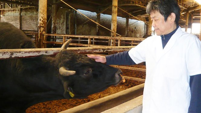 茨城県産高級黒毛和牛「常陸牛」　焼肉セット（もも・ランプ･カルビ）　500ｇ×2パック　[AI004ya]