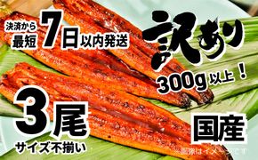 K1804 〈7日以内発送〉【訳あり】さかい河岸水産の国産うなぎ３尾 300g以上！ ※サイズ不揃い