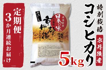 《定期便3か月》京都丹後産　特別栽培米コシヒカリ5kg（5kg×1袋） ST00041