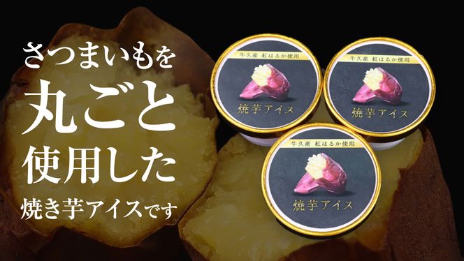 牛久市産 紅はるか 使用 焼き芋アイス 12個 入り アイスクリーム さつまいもスイーツ 焼き芋味 べにはるか 夏 アイス ギフト さつま芋 味 焼き芋 味 サツマイモ 冷凍 贈り物 [EJ009us]