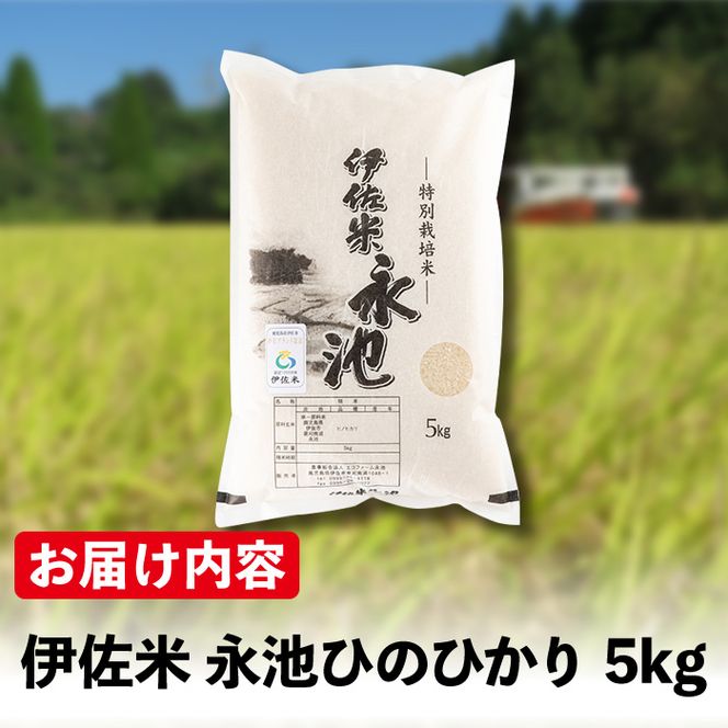 Z7-01 《数量限定》令和7年産 新米 特別栽培米 伊佐米永池ひのひかり(5kg) 伊佐市 永池 特産品 伊佐米 九州米サミット 食味コンテスト 最優秀賞受賞 ヒノヒカリ 5kg 【エコファーム永池】