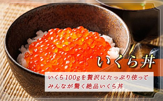 121-1920-377  北海道産 塩いくら 500g  | 国産 北海道産 いくら塩漬け いくら イクラ ikura 天然 鮭 サーモン 鮭卵 鮭いくら 北海道 昆布のまち 釧路町 笹谷商店 直営 釧之助本店 人気 の訳あり!  父親の日 ご飯 米 無洗米 にも最適