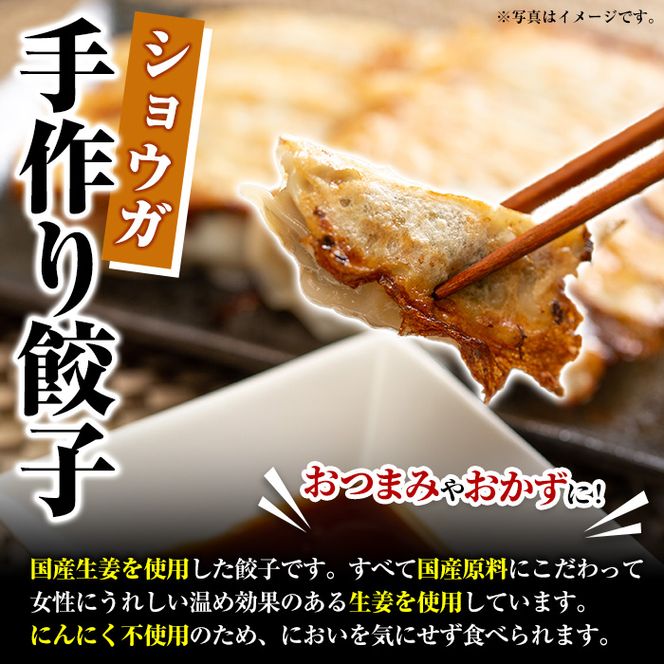 国産豚肉使用！手作りショウガ餃子(計100個・10個×10パック、たれ付き) 餃子 ぎょうざ ギョウザ ギョーザ しょうが 生姜 豚肉 おかず お惣菜【スーパーよしだ】a-12-114-z