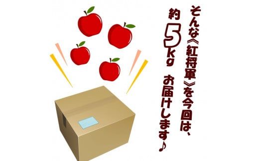 【予約：2024年10月下旬から順次発送】北海道北見市産 りんご 紅将軍 約5kg ( 果物 果実 蜜 旬 季節限定 数量限定 果肉 )【044-0007-2024】